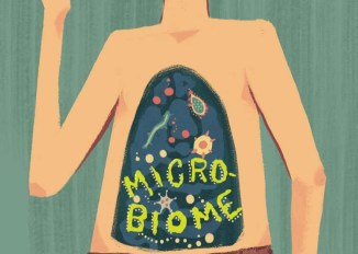 link to artcle about how the gut microbiome affects anxiety